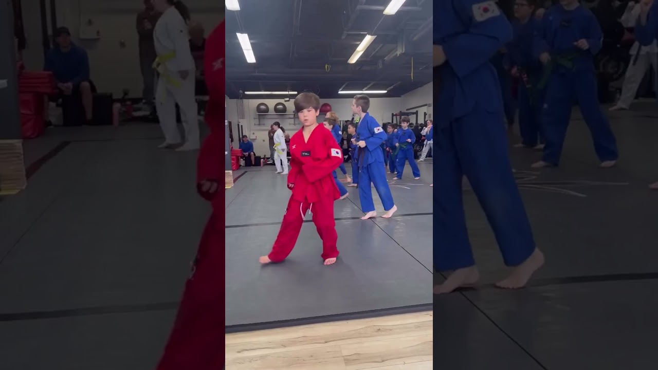 Taekwondo Belt Testing