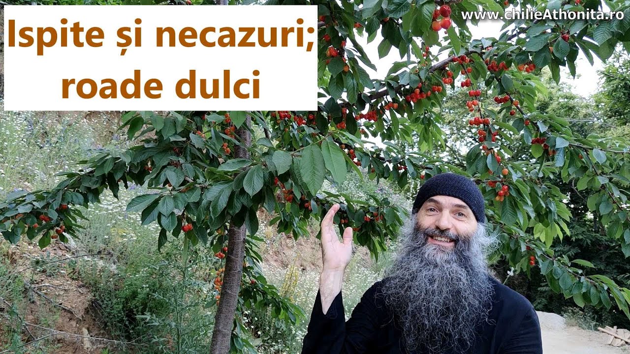 Chilia noastră: Ispite și necazuri; roade dulci - părintele Pimen Vlad