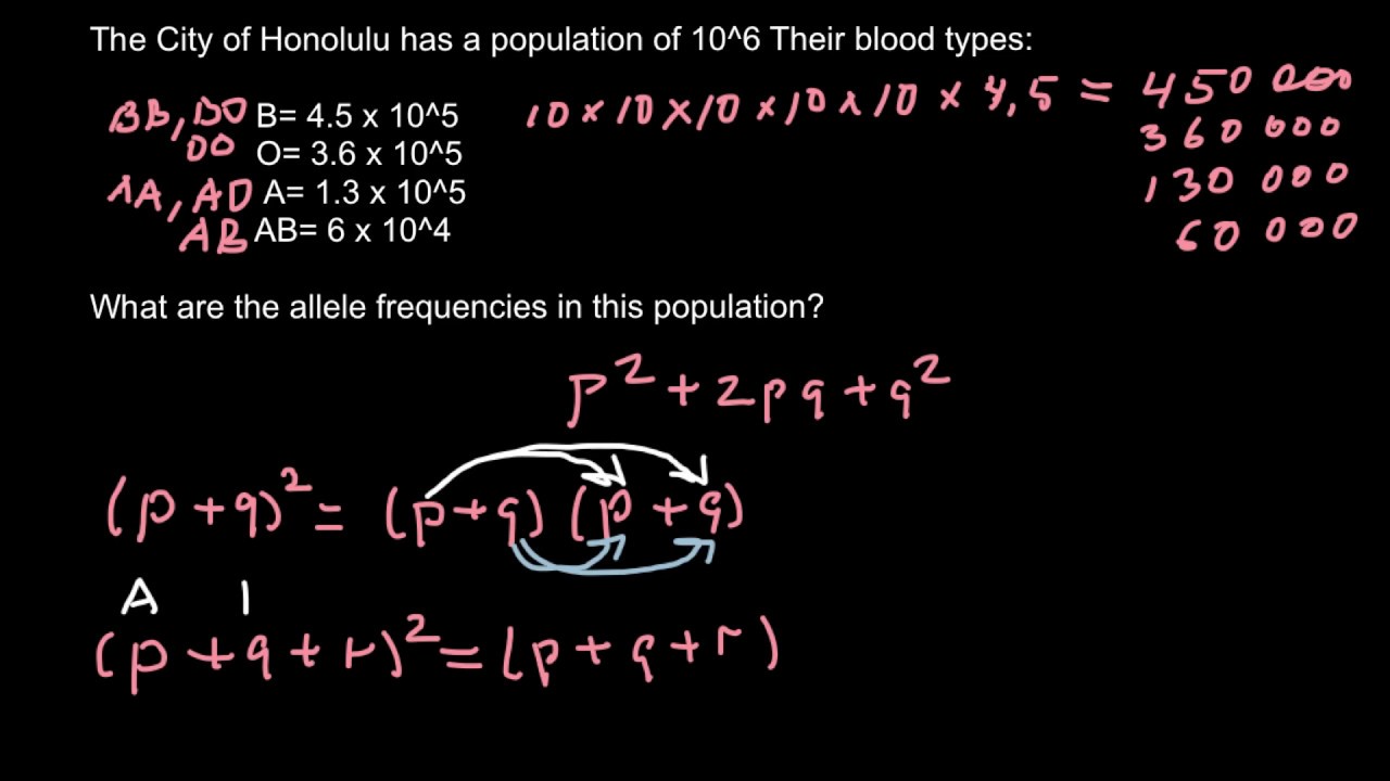 ABO Blood Group Allele Frequency Problem (ADVANCED LEVEL)