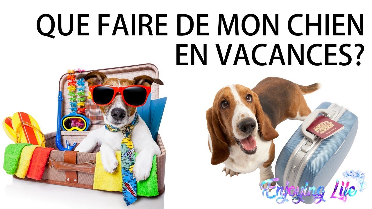 OU FAIRE GARDER MON CHIEN EN VACANCES? ✿ EnjoyingLife