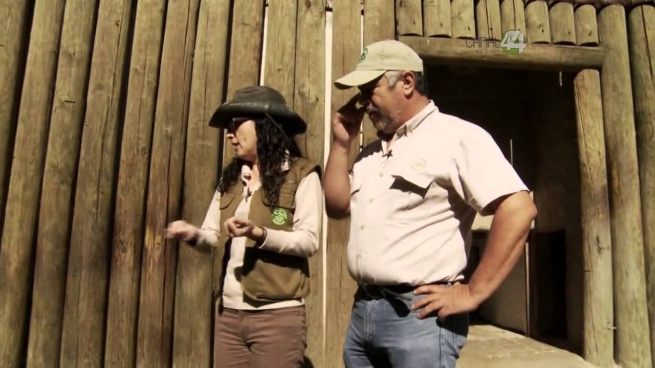 Desde el Zoológico: Albert, el tigre de bengala