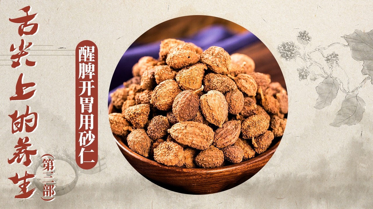 砂仁暖寒冬！ 这颗小果仁 既是食养良方也是中医妙药 藏着千年南药的底蕴与荣光！《百家讲坛》 舌尖上的养生（第三部） 10 醒脾开胃用砂仁 20260130 | CCTV百家讲坛官方频道