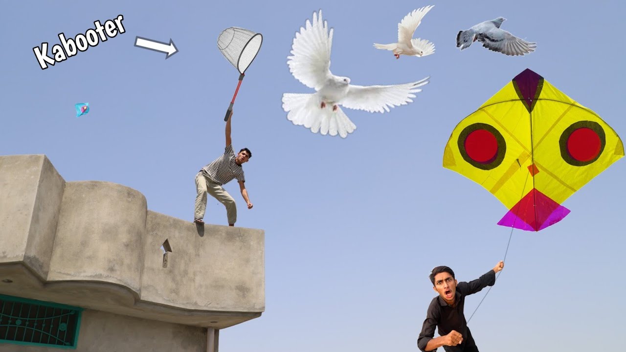 Kite & Caught Kabooter Nasir Ghar Roof