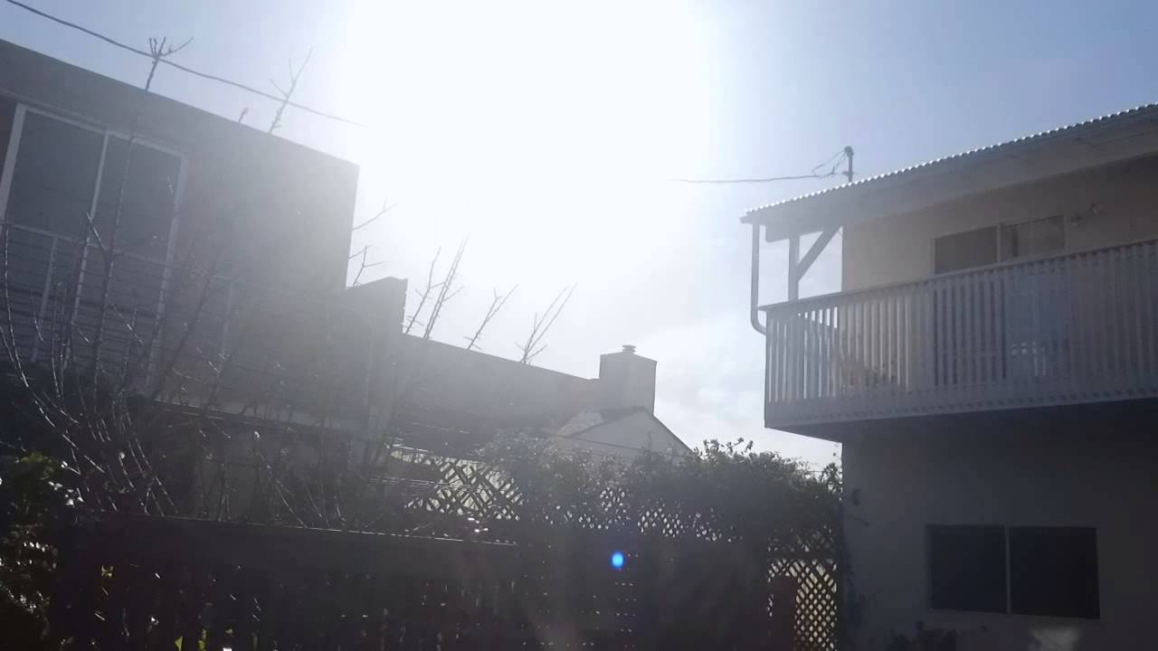 IN THE BACKYARD (LIFE COMMENTARY)