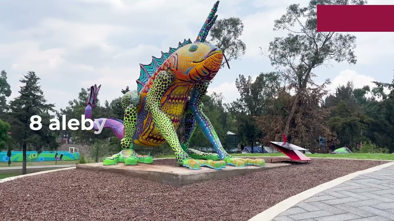 Rehabilitamos el Bosque de Tl&aacute;huac 🌳 Con&oacute;celo.