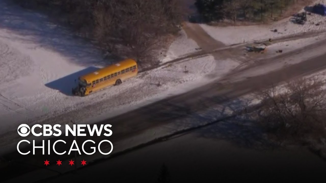 1 driver killed, 10 kids go to hospital when car, school bus collide near Manhattan, Illinois