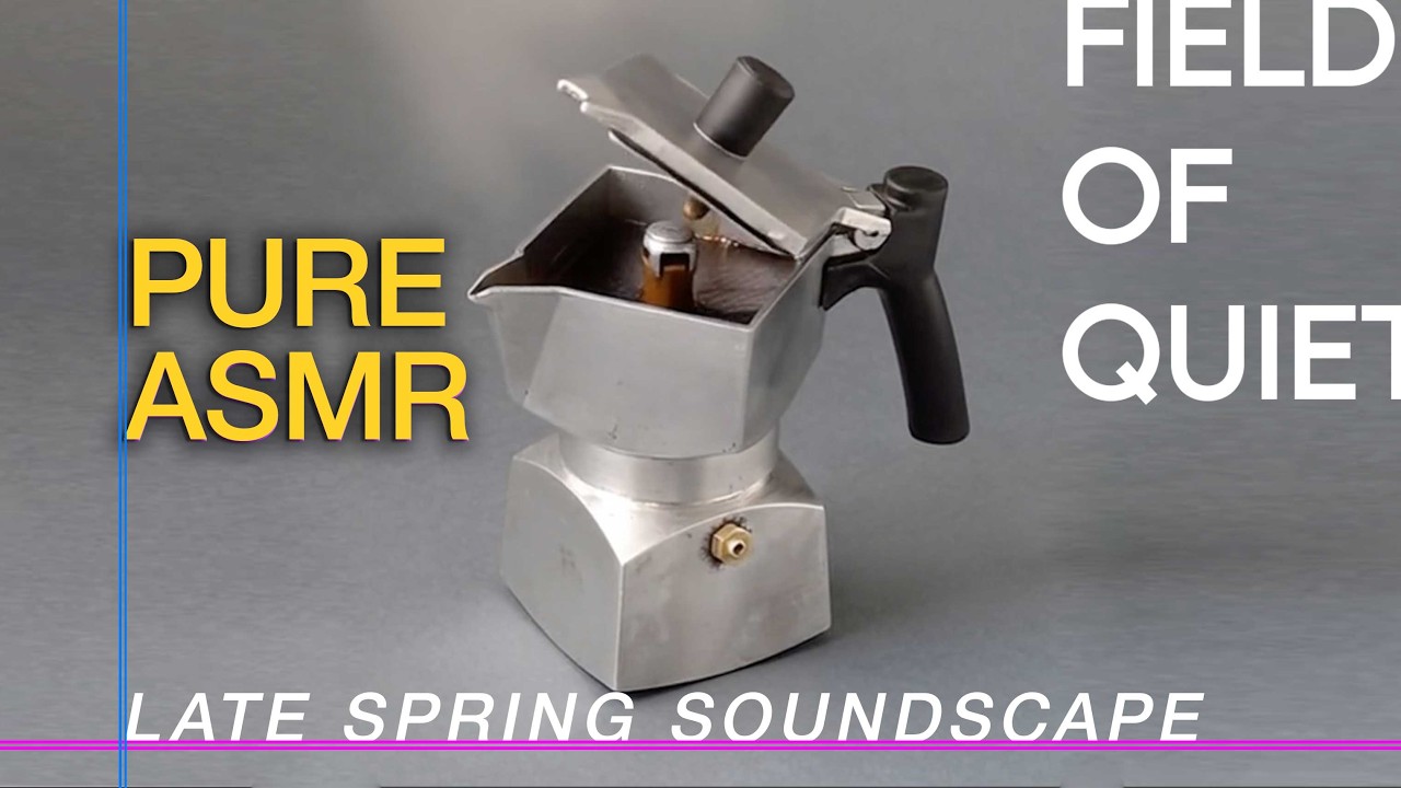 Late Spring/Summer sounds with Birds With Coffee — Relaxing Ambient Sound | Field of Quiet