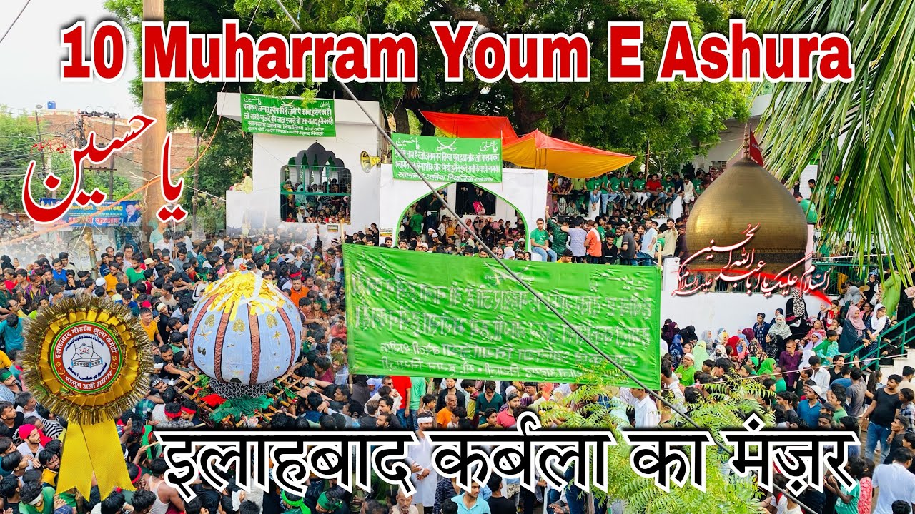 10 Muharram prayagraj 2023 | Youm E Ashura | Allahabad Karbala ka Manzar | mranasloveboi