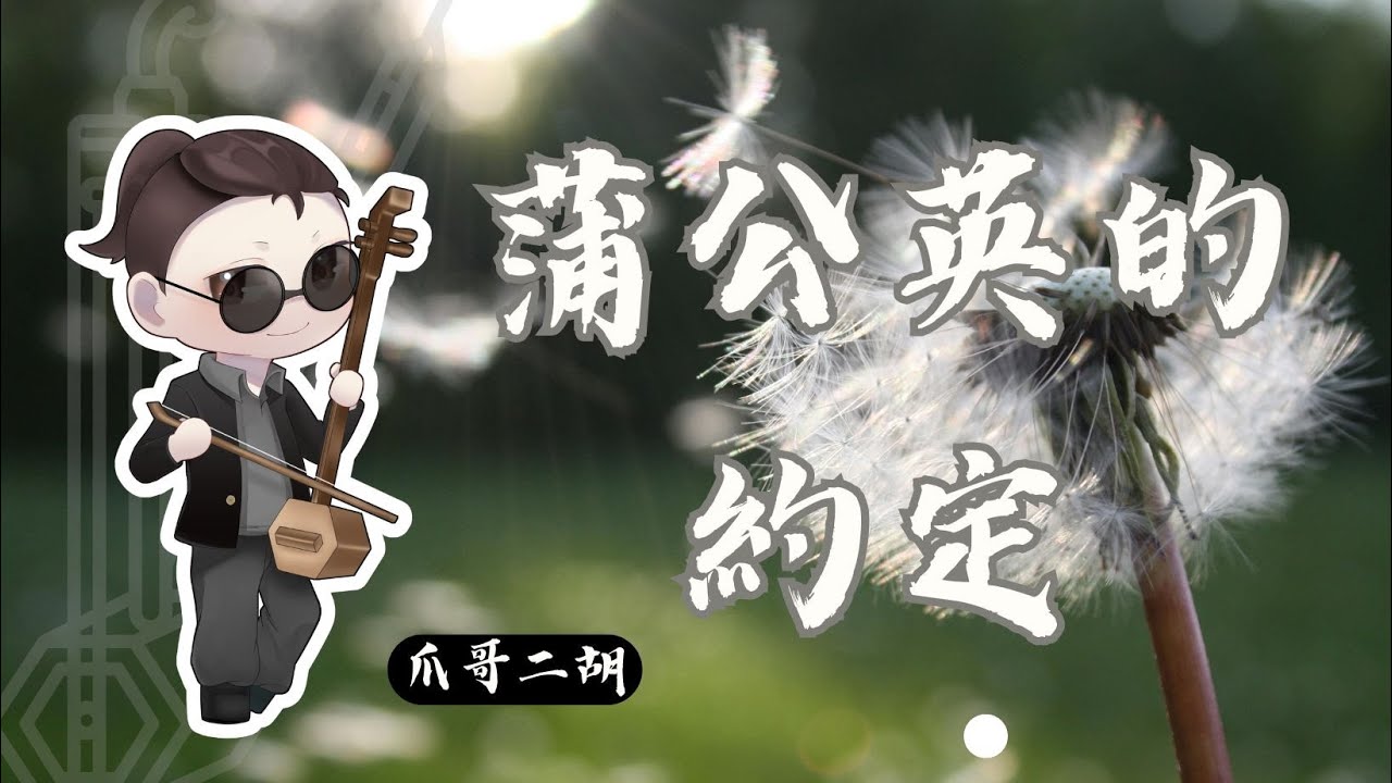 周杰倫《蒲公英的約定》｜爪哥二胡