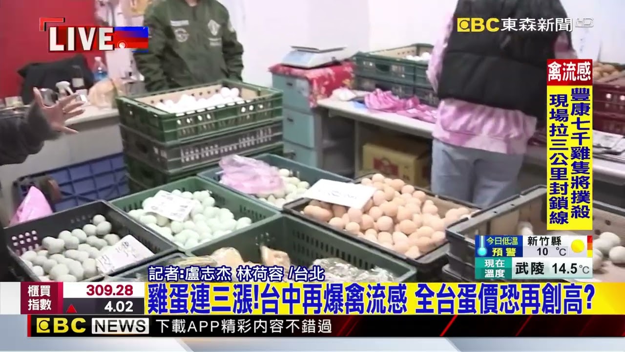 最新》雞蛋連三漲！台中再爆禽流感 全台蛋價恐再創高？@newsebc