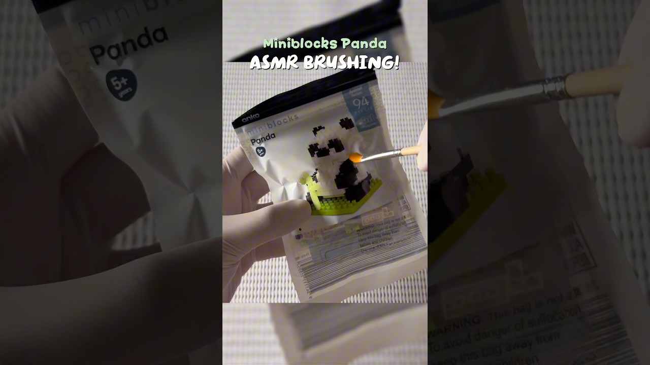Ever Wondered What It Would Sound Like To Brush Plastic? 