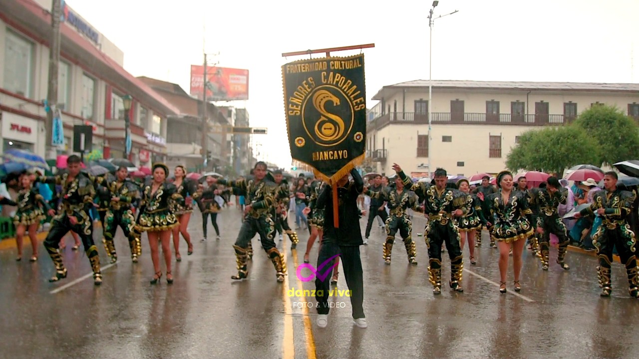 SEÑORES CAPORALES bailando bajo la lluvia en la Candelaria Huancayo 2025 #danzaviva #caporal