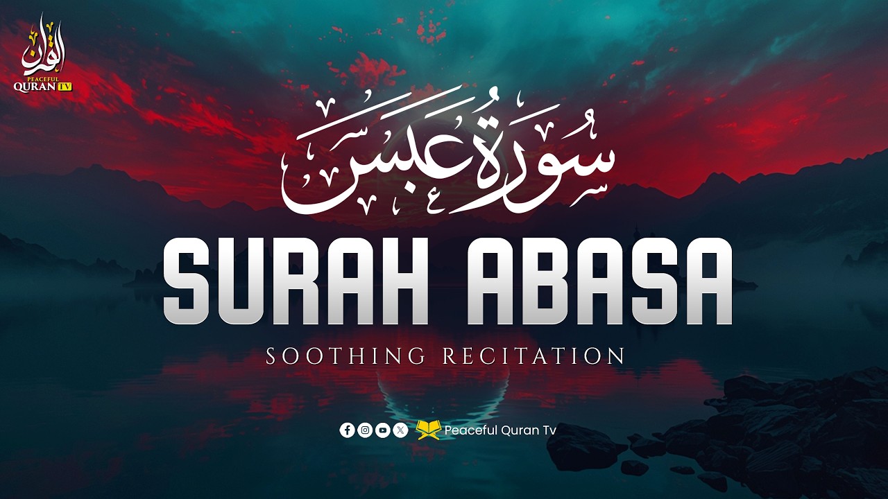Surah Abasa سورة عبس | Beautiful Recitation for Protection & Inner Calm | Peaceful Quran TV