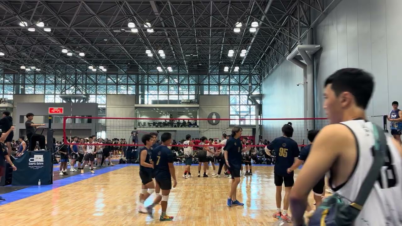 Knights vs toronoto