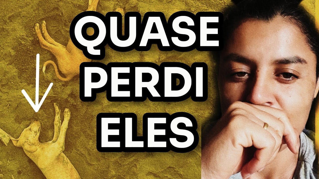 Eu quase perdi meus cachorros presos na rede… foi desesperador!”