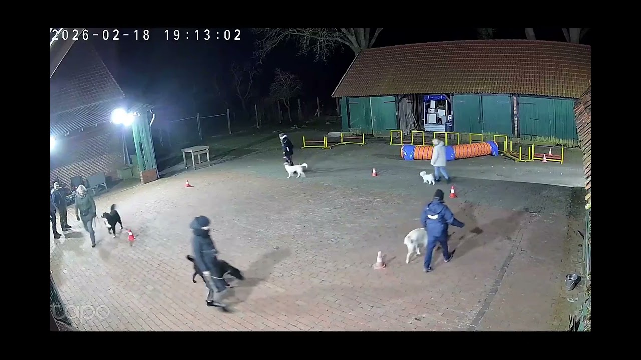 Hundeschule Wolf und Co am 18.Februar.2026 #hundepension #hundeschule #hundefutter