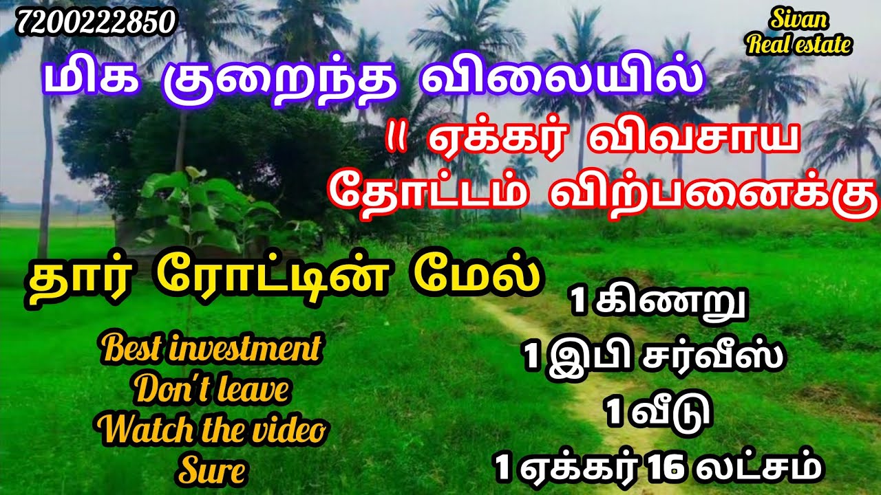 11 ஏக்கர் தெண்ணை தோட்டம் விற்பனைக்கு தென்காசி மாவட்டம் சிவகிரி ஊர் அருகில் 