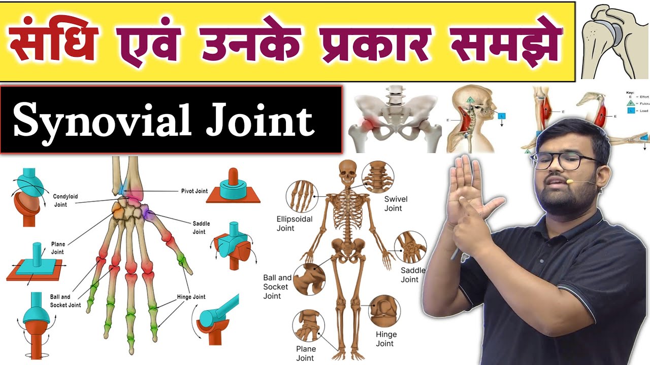 Joint - संधि | Synovial Joint | Anatomy and Physiology | Nursing | Pharmacy | MBBS | BMLT | DMLT