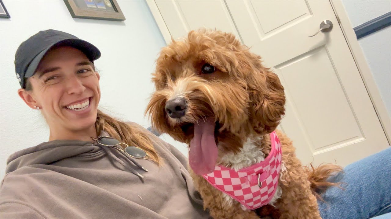 ANOTHER Surprise Vet Visit