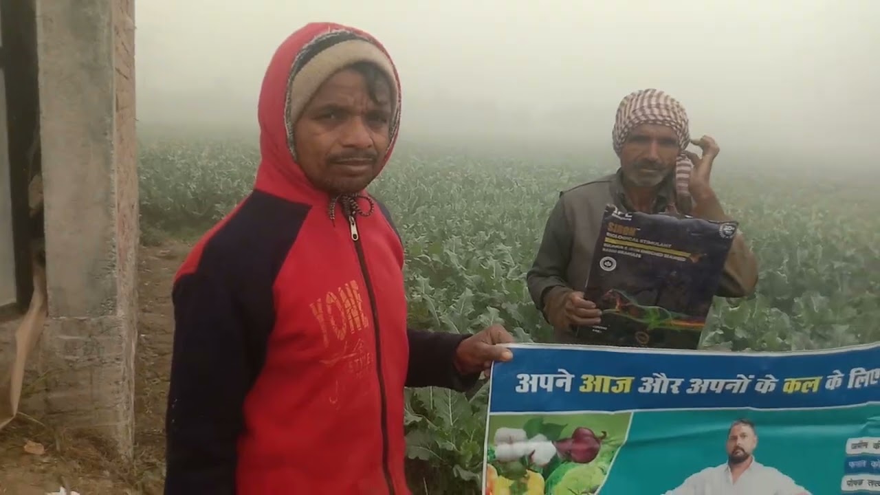 Siron ki kahani phoolgobhi me kishan ki zubani contact KumarShekhar ç9759790394