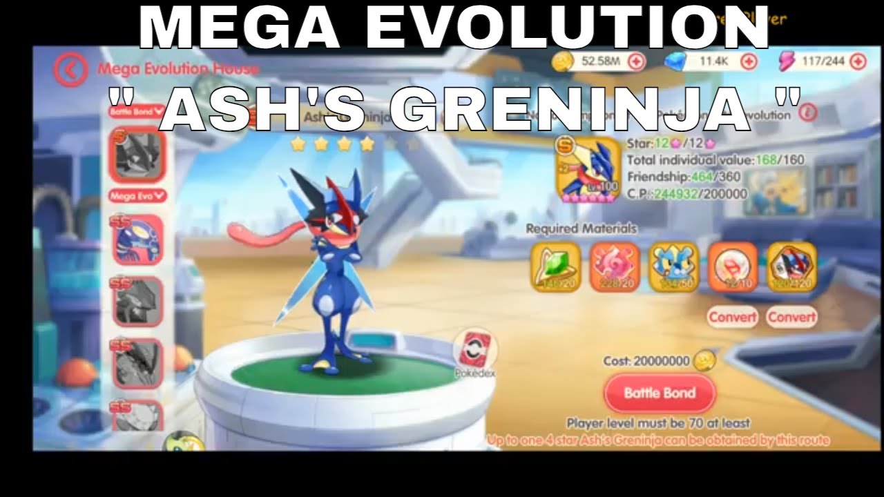 MEGA EVOLUTION 