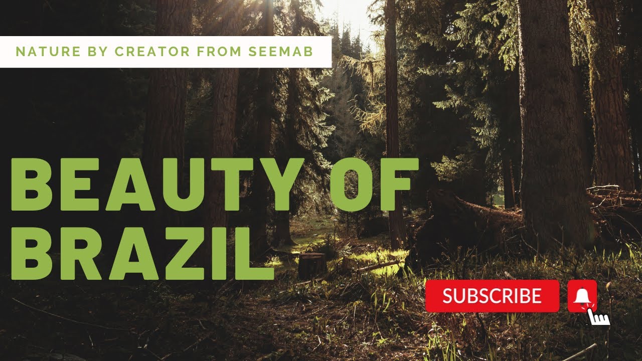 Serenity in Brazil: Exploring Nature's Beauty with Relaxing Melodies