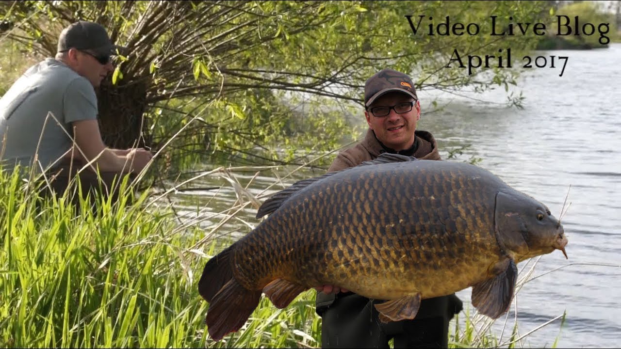 Video Live Blog April 2017- Karpfenangeln Christian Gra&szlig;hoff