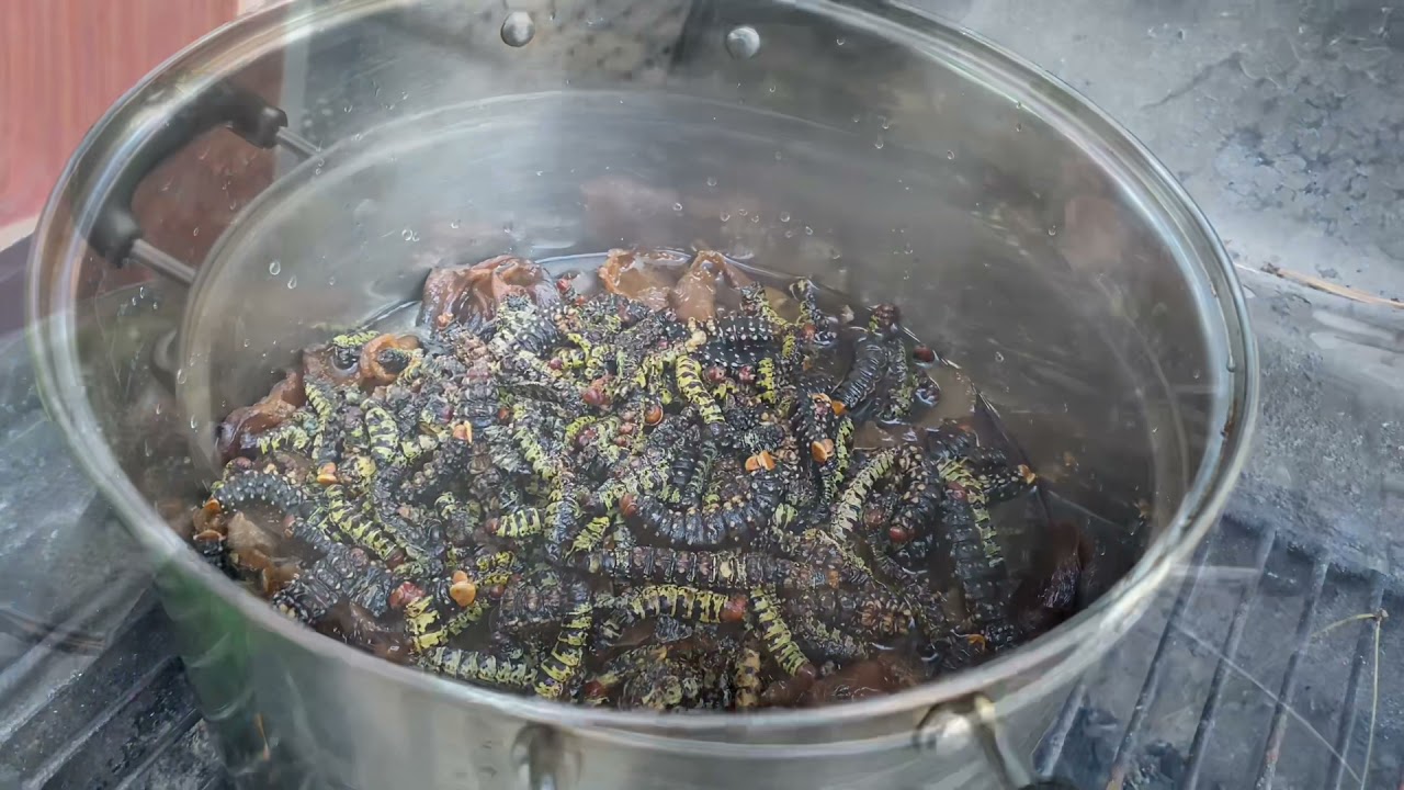 Recette ya 3 pièces Mayebo, Mbiso na mbisi ya kokawuka . 🇨🇦🇨🇦🙏🙏