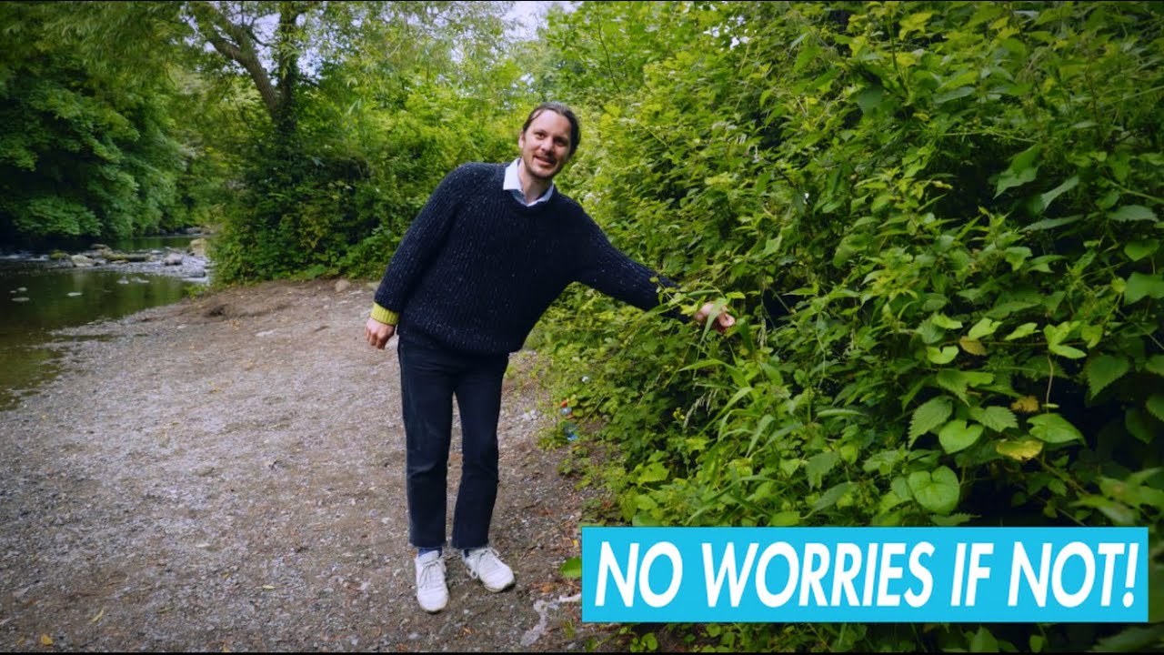 Killian's History | No Worries If Not | RTÉ2