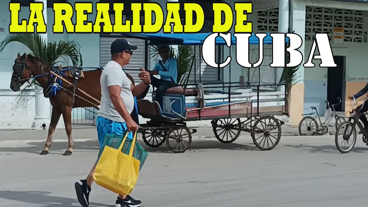 TRANSPORTE PUBLICO CARROS DE CABALLOS