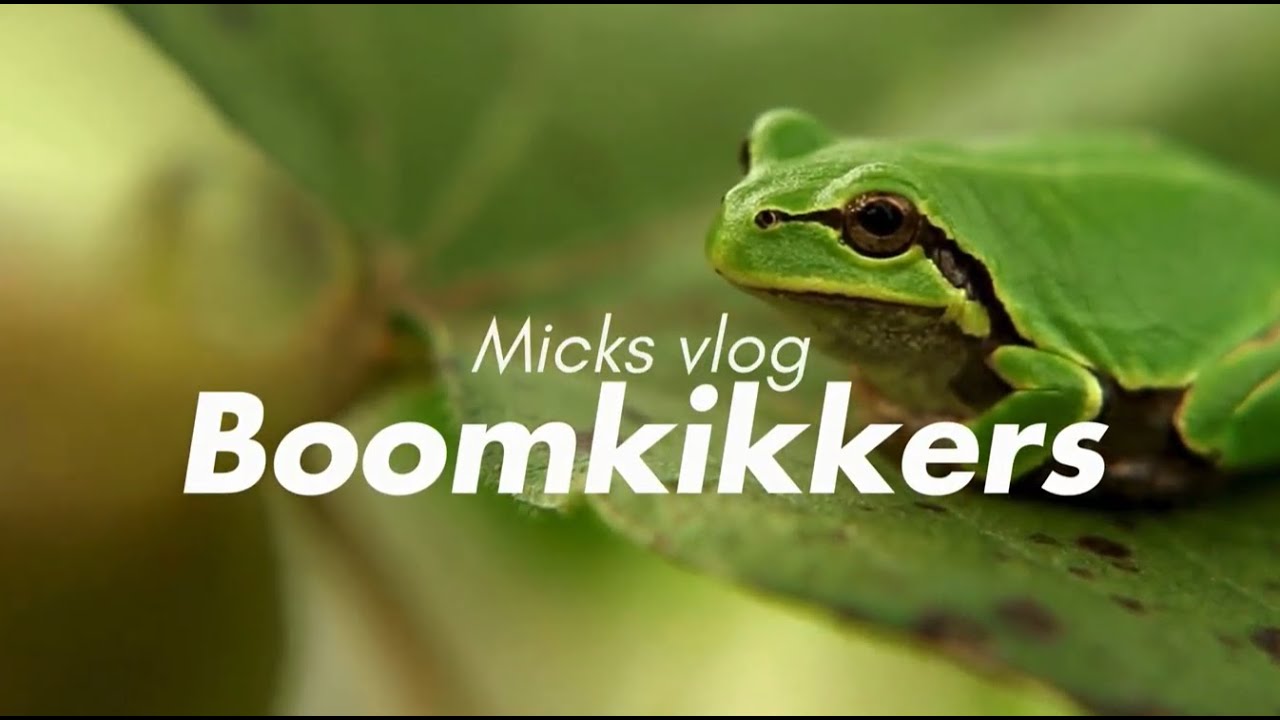 Micks Vlog: Boomkikkers in Nederland