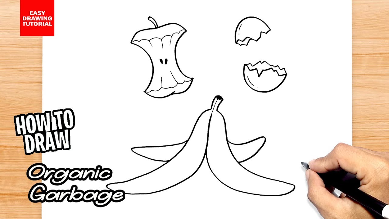 How to draw Organic Garbage