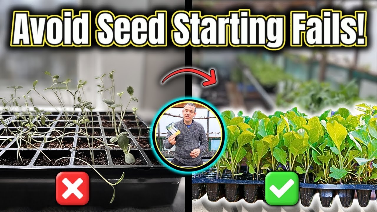 Avoid These Seed-Starting Mistakes!