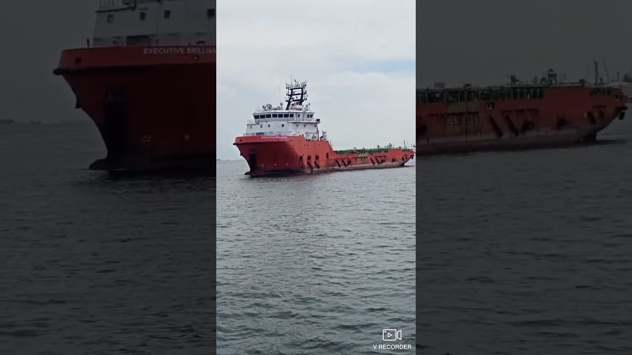 process for docking