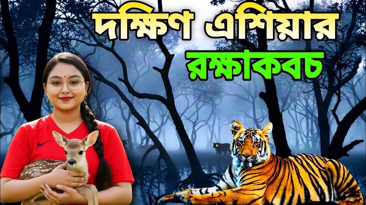 দক্ষিণ এশিয়ার রক্ষাকবচ: সুন্দরবন কেন পৃথিবীর সবচেয়ে গুরুত্বপূর্ণ বন? @Timehole0