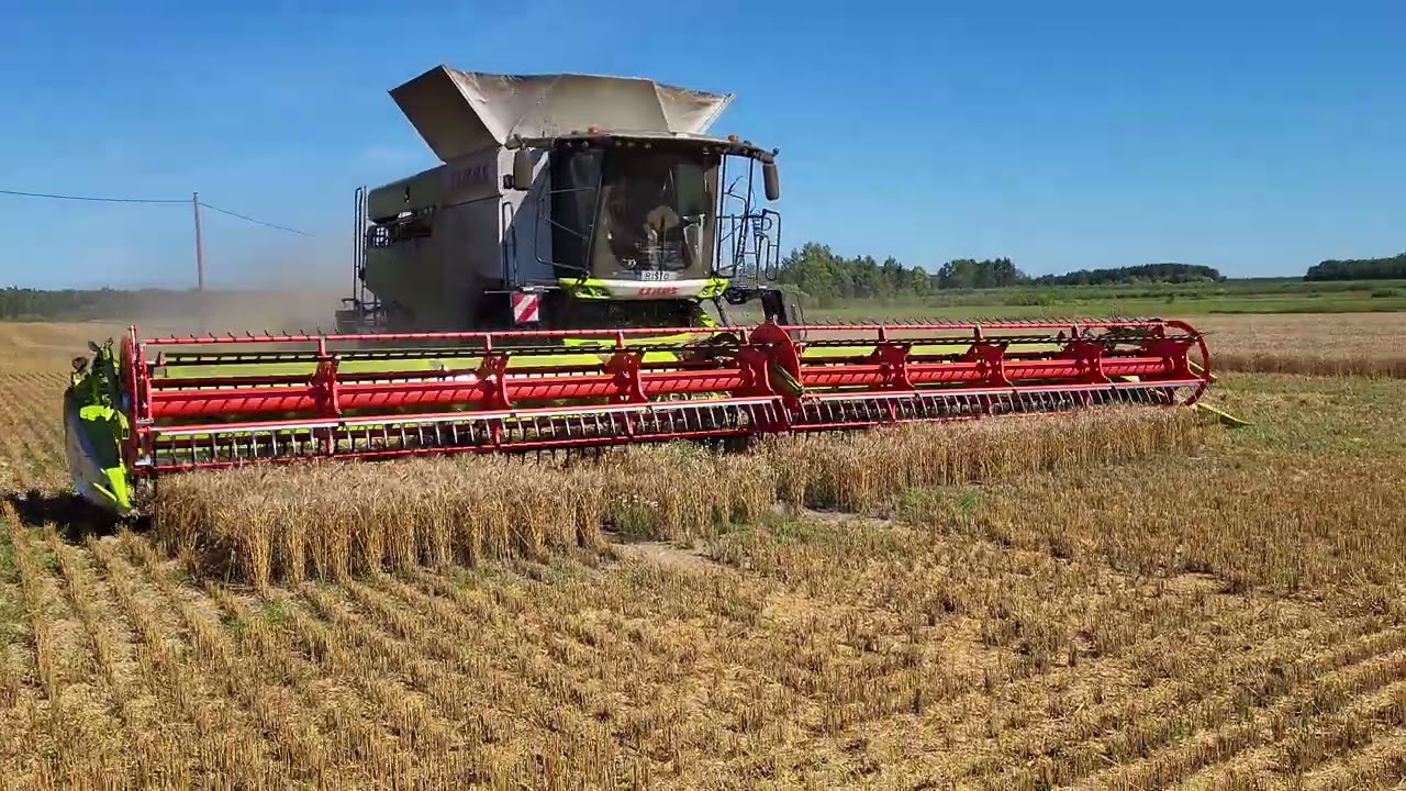 Claas Lexion 8800 / Convio Flex 1230