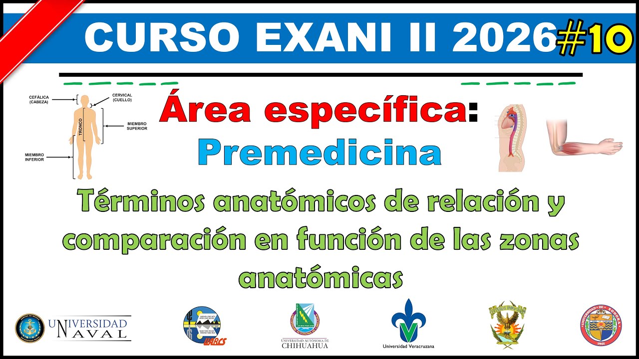 Curso EXANI II 2026 Premedicina: Términos anatómicos de relación y comparación en función #10