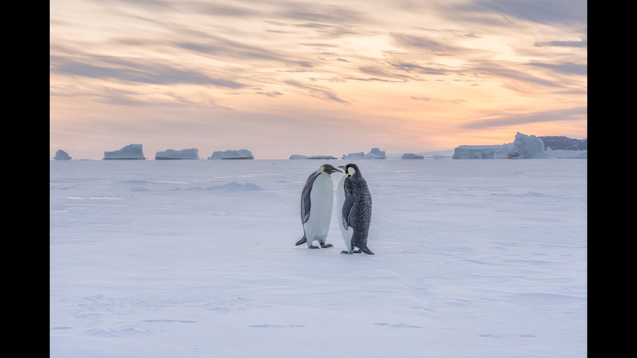 Antarctica