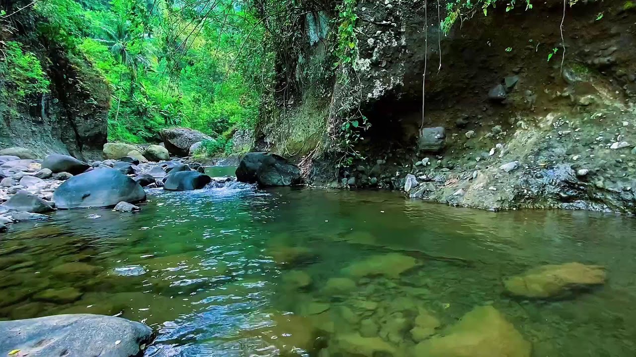Flowing Mountain Stream Audio, Forest River Water, Sleep