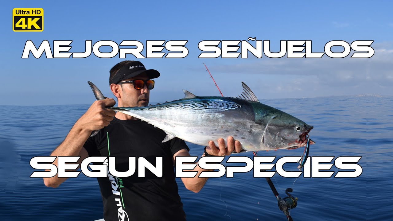 CURRICAN COSTERO - MEJORES SEÑUELOS  según ESPECIES