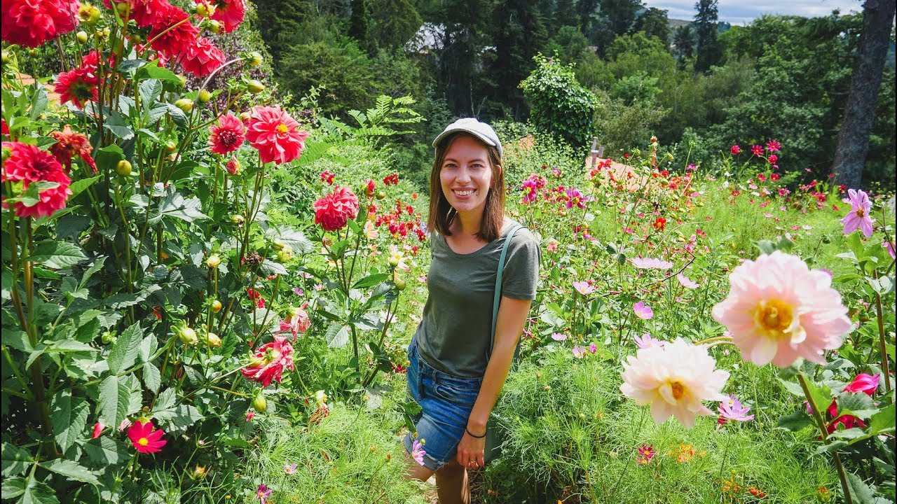 Visitando La Cumbrecita, Córdoba, Argentina: 🏞️✨🚶‍♀️🌲 Naturaleza, Miradores y Comida Alemana 🇦🇷🍺✨