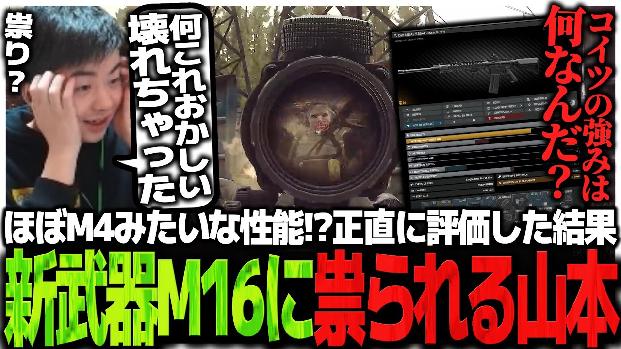 ほぼM4みたいな性能!?正直に評価した結果、新武器M16に祟られるSasatikk【EFT】