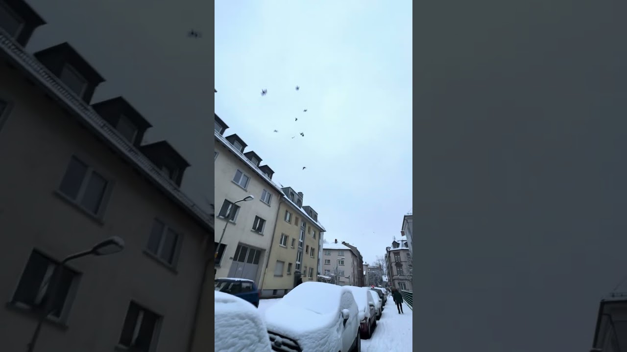 ❄️❄️❄️❄️❄️ Schnee Frankfurt am Main ￼
