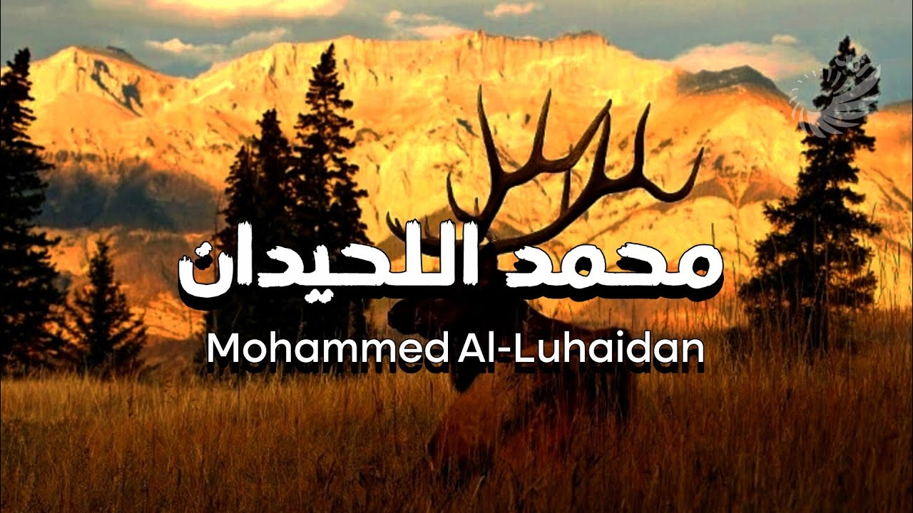 لن تتمالك نفسك مع هذه التلاوة بصوت محمد اللحيدان | سورة النور 