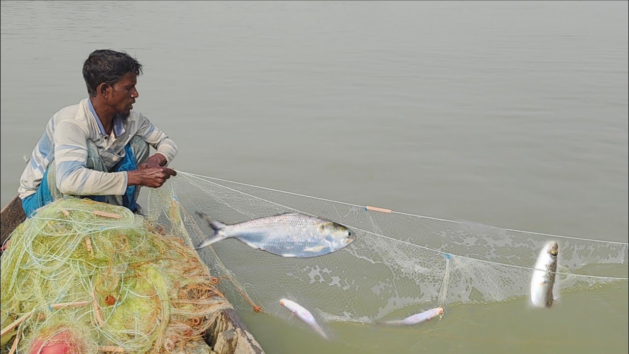 আজ কপাল অনেক ভালো বাটা জালে বড় ইলিশ মাছ পেলো।। Net Fishing 2026।। কারেন্ট জাল দিয়ে নদীতে মাছ ধরা 