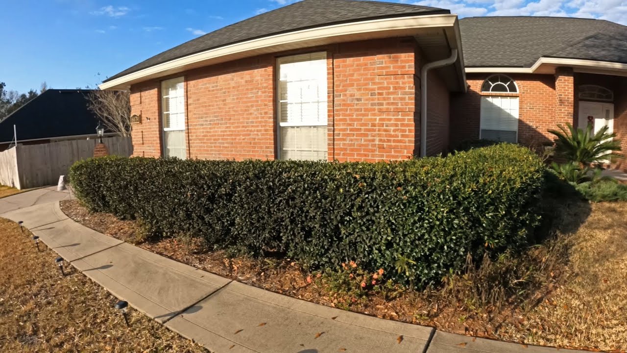 Front Yard Shrub Removal
