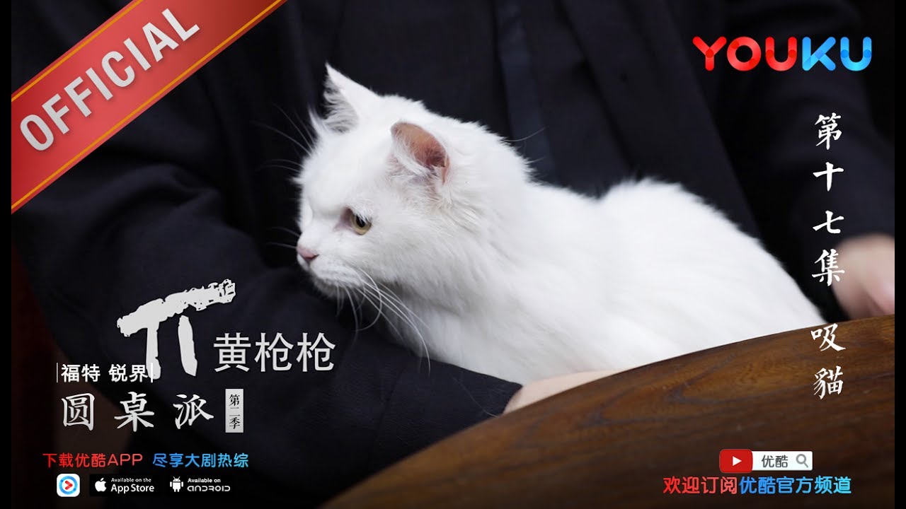 【圆桌派 第二季】EP17 | 所有的喵都是戏精 | 窦文涛 | 优酷 YOUKU
