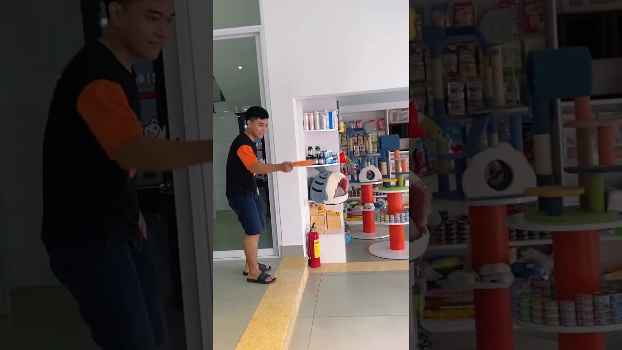 Cũng l&agrave; Collie m&agrave; sao lạ qu&aacute;