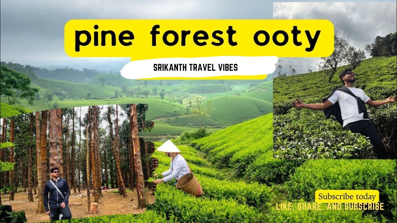 South India ride day 3 | part 3 pine forest | Ooty Telugu vlogs | telugu Moto vlogs 