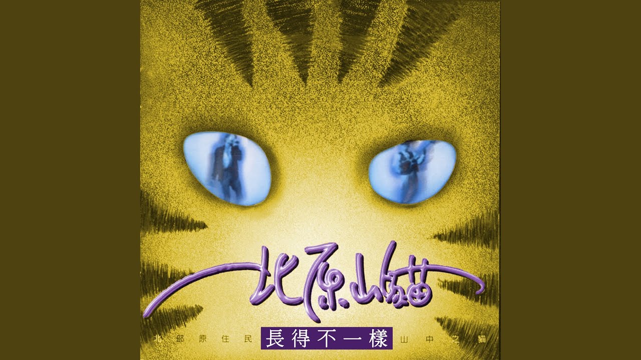 長得不一樣
